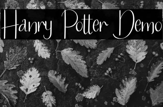 Hanry Potter Demo Font examples