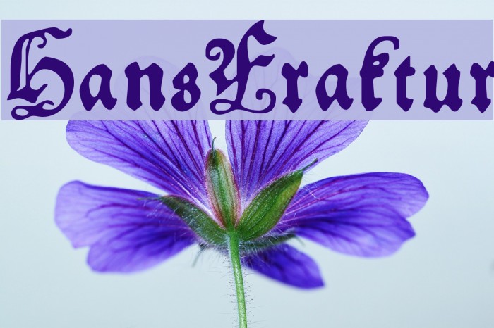 HansFraktur Font examples