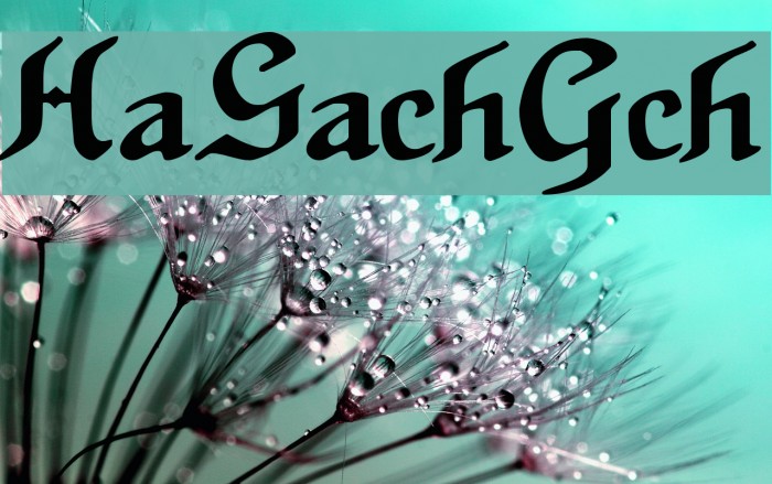 HansSachsGotisch Font examples