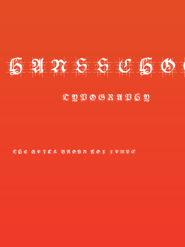 HansSchoensCapsInGrid Poster