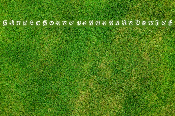 HansSchoenspergerRandomish Font examples