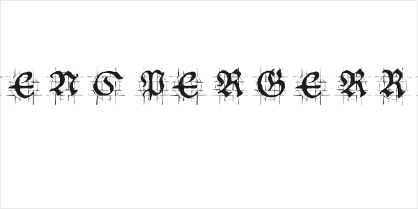 HansSchoenspergerRandomish Logo