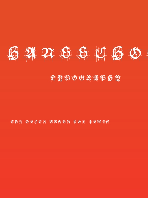 HansSchoenspergerRandomish Poster