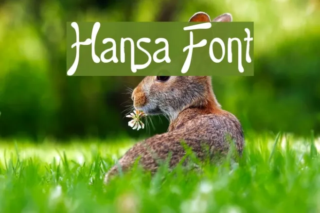 Hansa Example 2