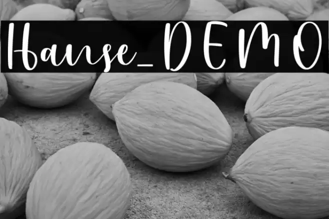 Hanse_DEMO Font examples
