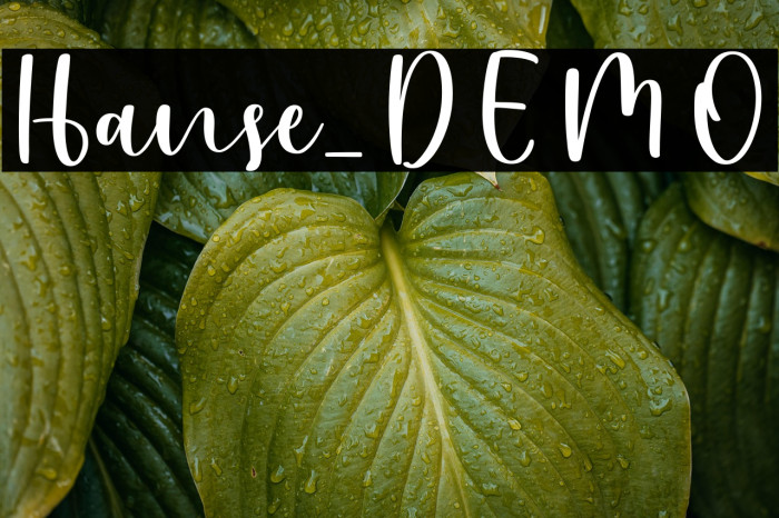 Hanse_DEMO Example 2