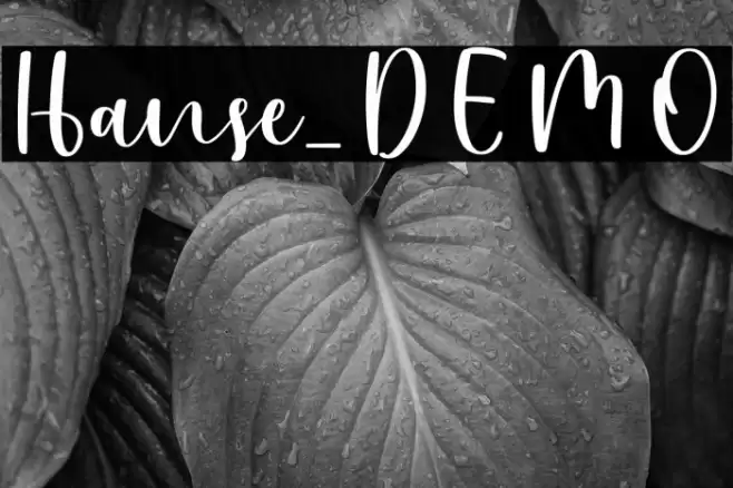 Hanse_DEMO Font examples