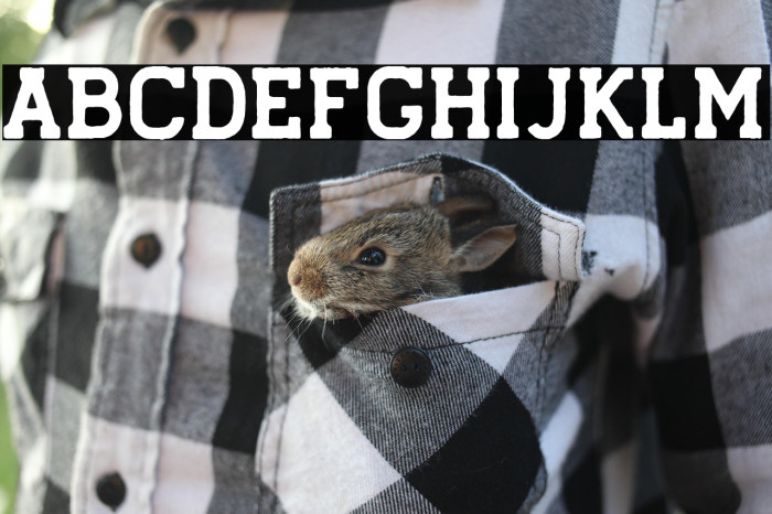 HanselRough Example 3