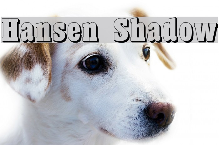 Hansen Shadow Font examples