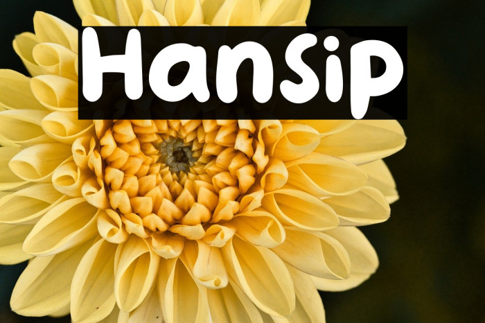 Hansip Example 3