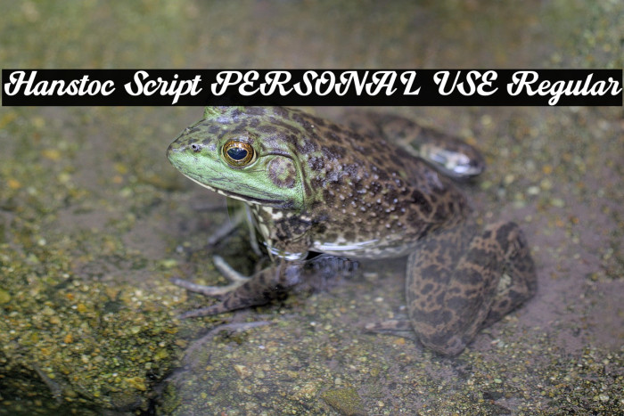 Hanstoc Script PERSONAL USE Regular Example 2