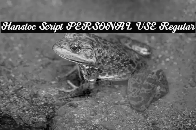 Hanstoc Script PERSONAL USE Regular Font examples