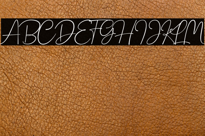 HanstonDemo-Regular Example 3