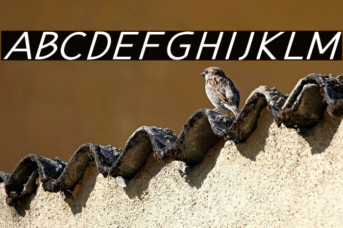 Hansville Bold Italic Example 1