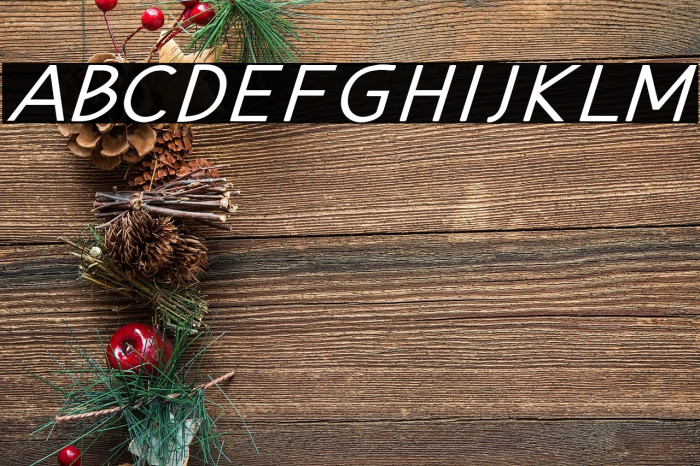 Hansville Bold Italic Example 2