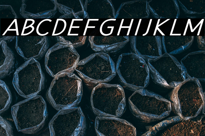 Hansville Bold Italic Example 3