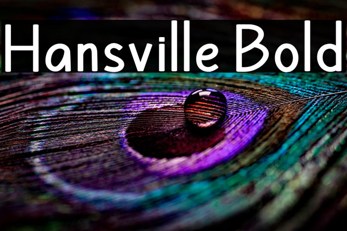 Hansville Bold Example 3
