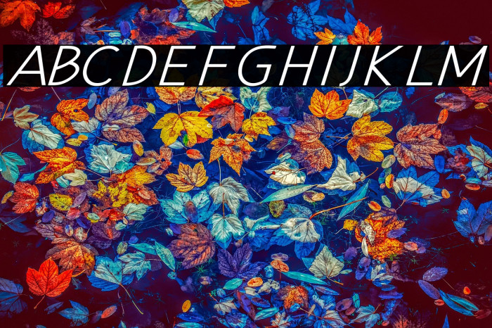 Hansville Italic Example 2