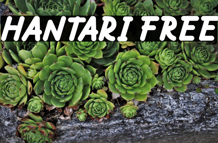 Hantari FREE Font examples