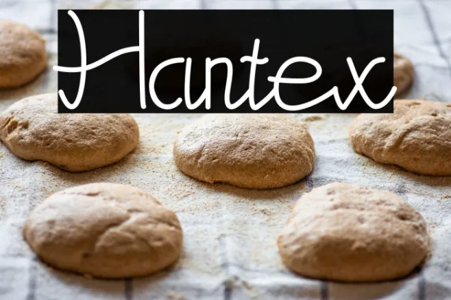Hantex Example 1
