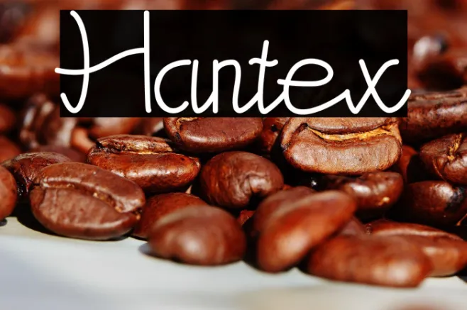Hantex Example 2