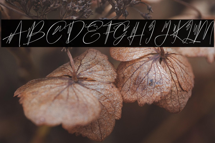 Hantoria Signature NoLigature Example 1