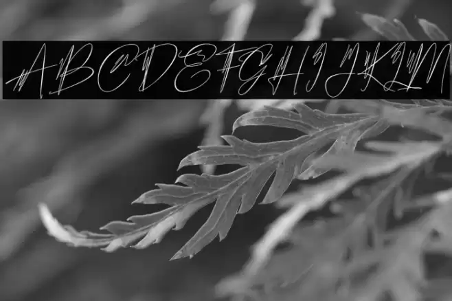 Hantoria Signature NoLigature Font examples