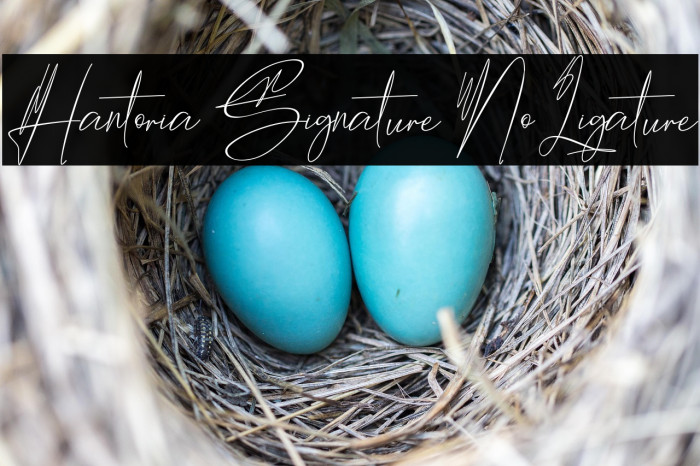 Hantoria Signature NoLigature Example 1