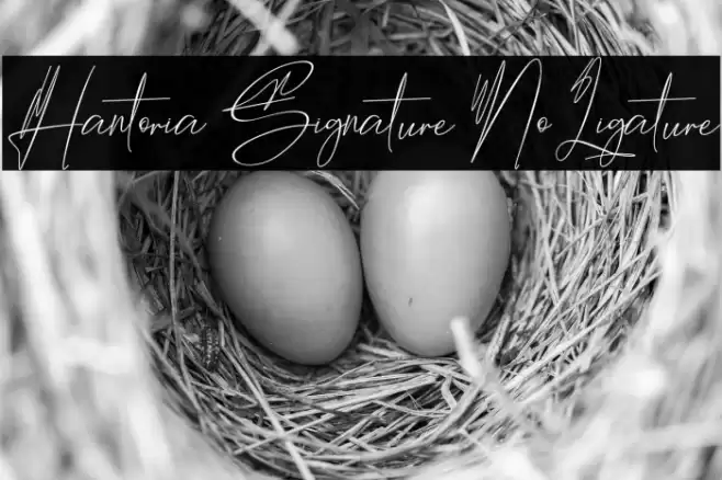 Hantoria Signature NoLigature Font examples