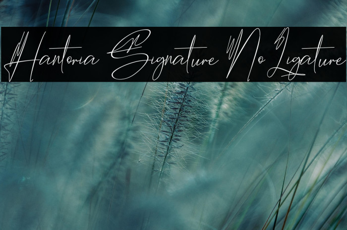 Hantoria Signature NoLigature Example 2