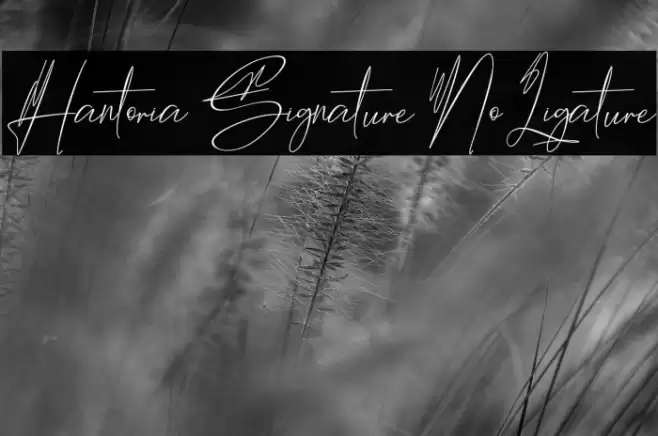 Hantoria Signature NoLigature Font examples