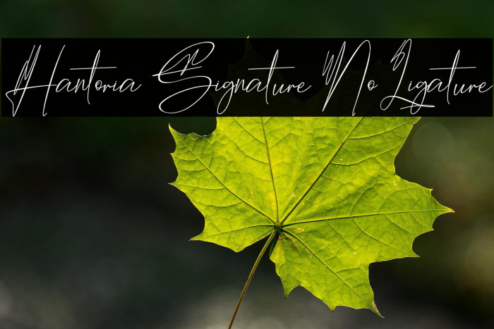 Hantoria Signature NoLigature Example 3
