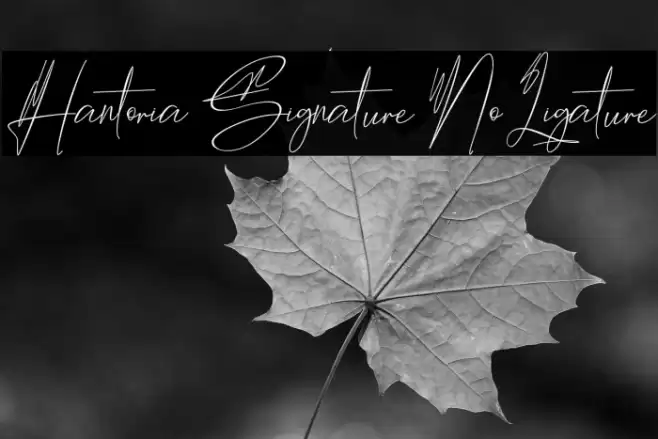 Hantoria Signature NoLigature Font examples