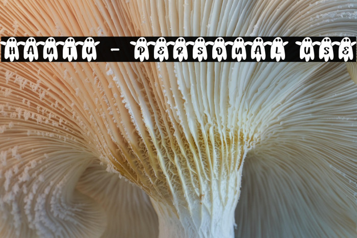 Hantu - Personal Use Example 2