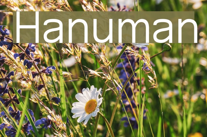 Hanuman Font examples