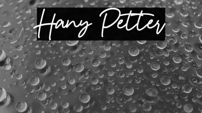 Hany Petter Font examples