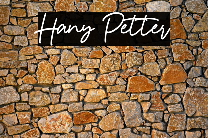 Hany Petter Example 2