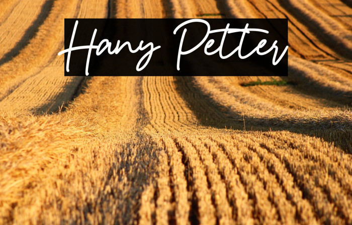 Hany Petter Example 3