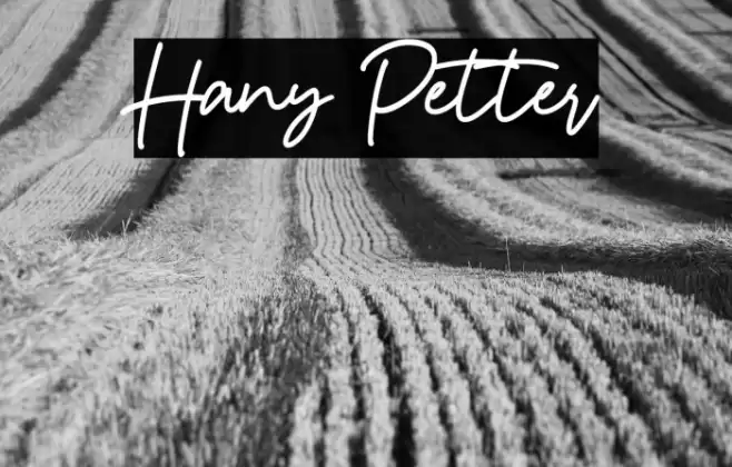 Hany Petter Font examples