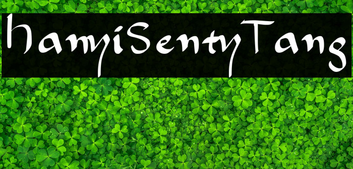 HanyiSentyTang Example 1