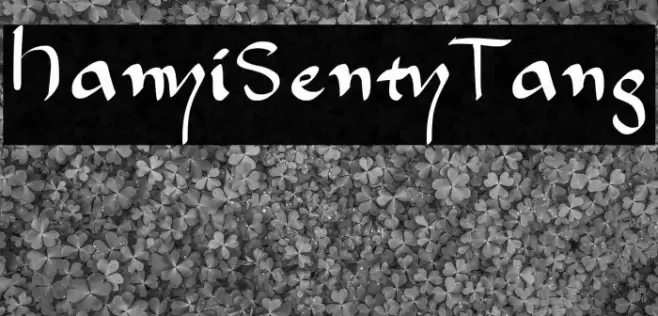 HanyiSentyTang Font examples