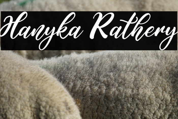 Hanyka Rathery Example 2