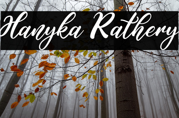 Hanyka Rathery Example 3