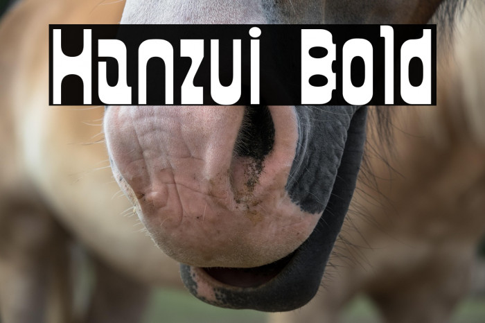 Hanzui Bold Example 1
