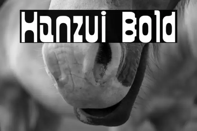 Hanzui Bold Font examples
