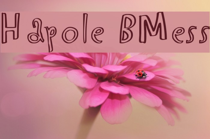 Hapole BMess Example 2