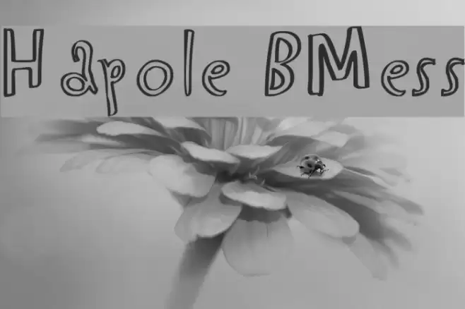 Hapole BMess Font examples