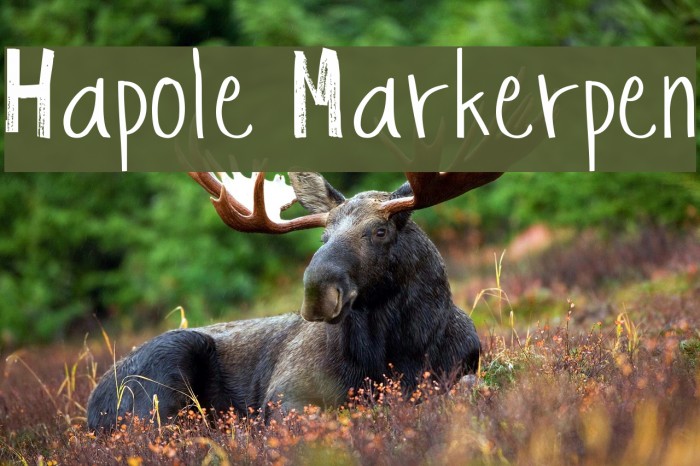 Hapole Markerpen Font examples