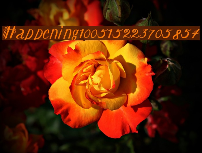 Happening100515223705854 フォント examples