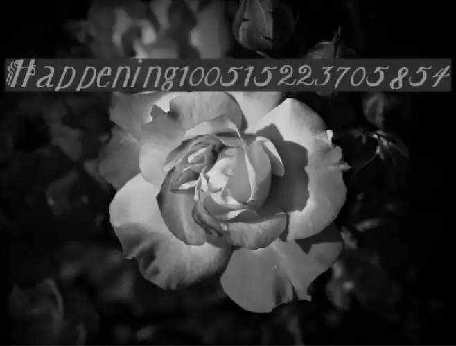 Happening100515223705854 Font examples